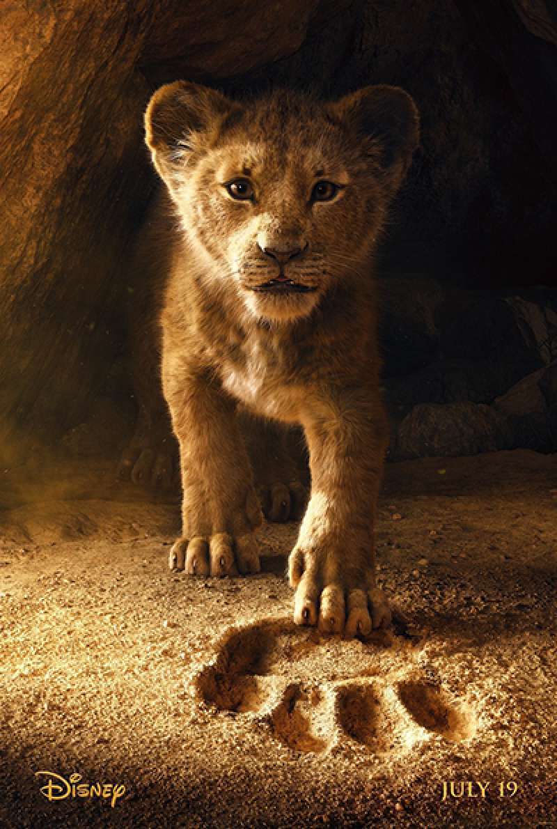 Bild zu Der König der Löwen von Jon Favreau