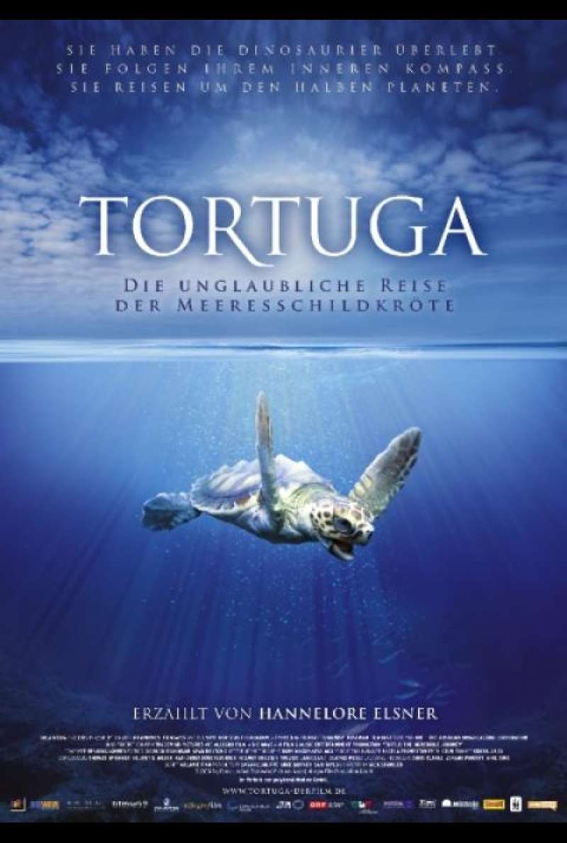 Tortuga - Filmplakat