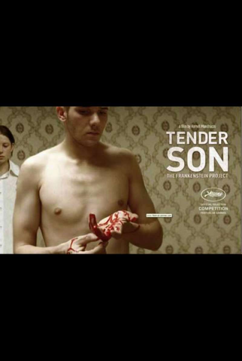 Tender Son - The Frankenstein Project - Quad (INT)