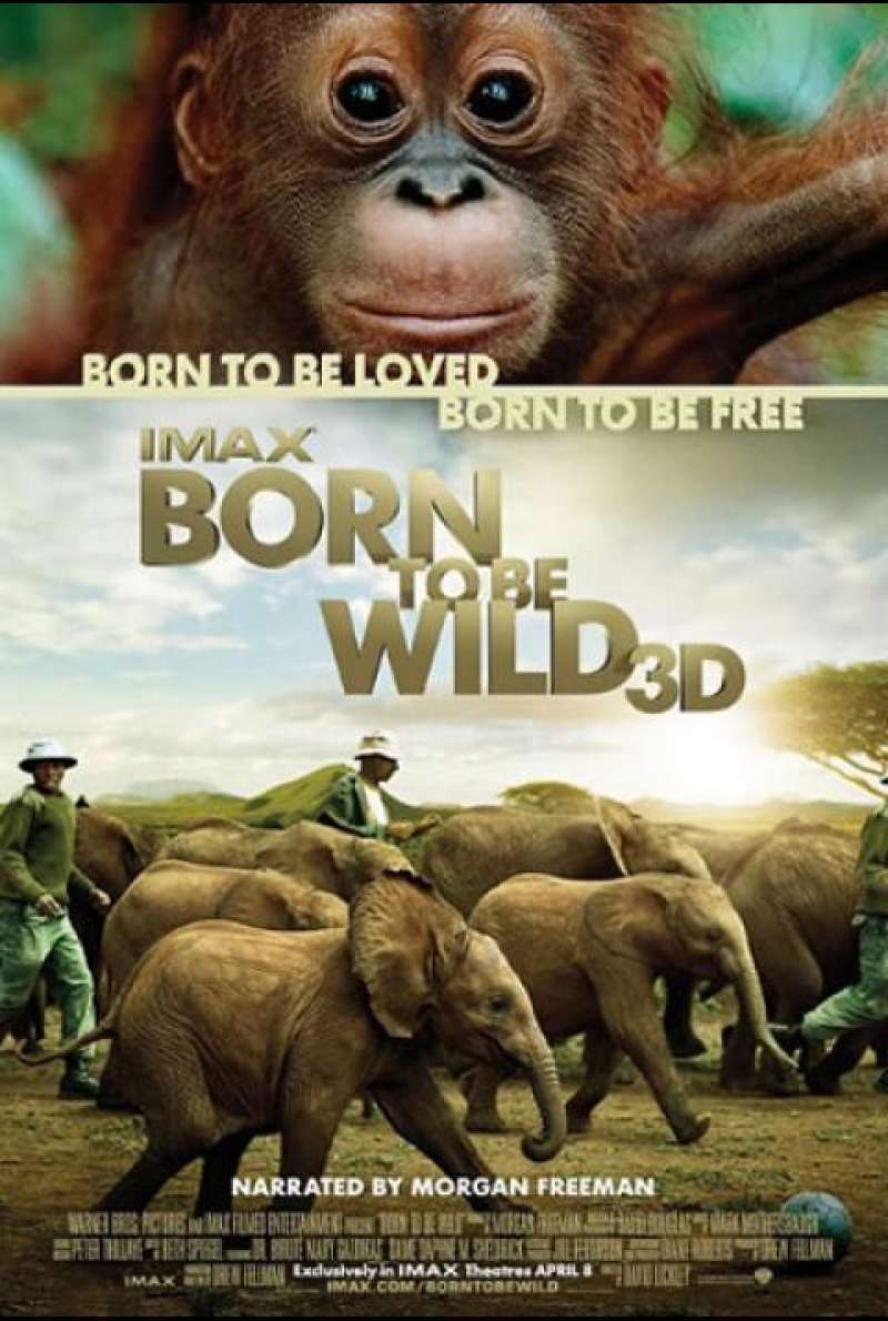 Born To Be Wild - Filmplakat (US)