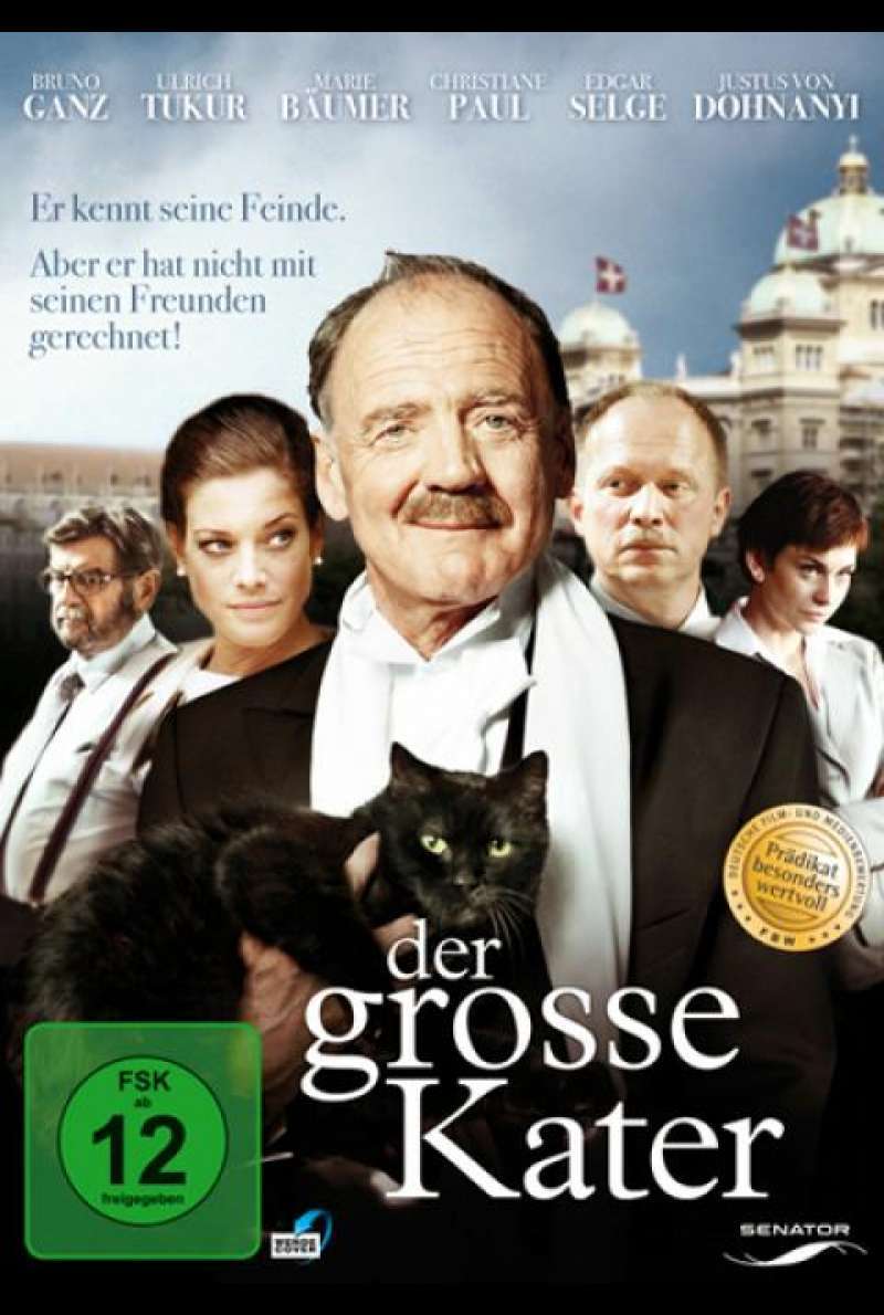 Der große Kater - DVD-Cover 