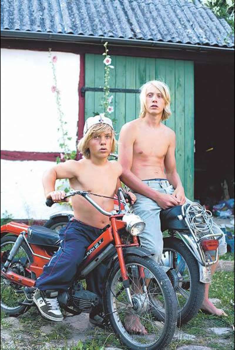 Zwillingsbrüder. 53 Szenen einer Kindheit von Axel Danielson (S)