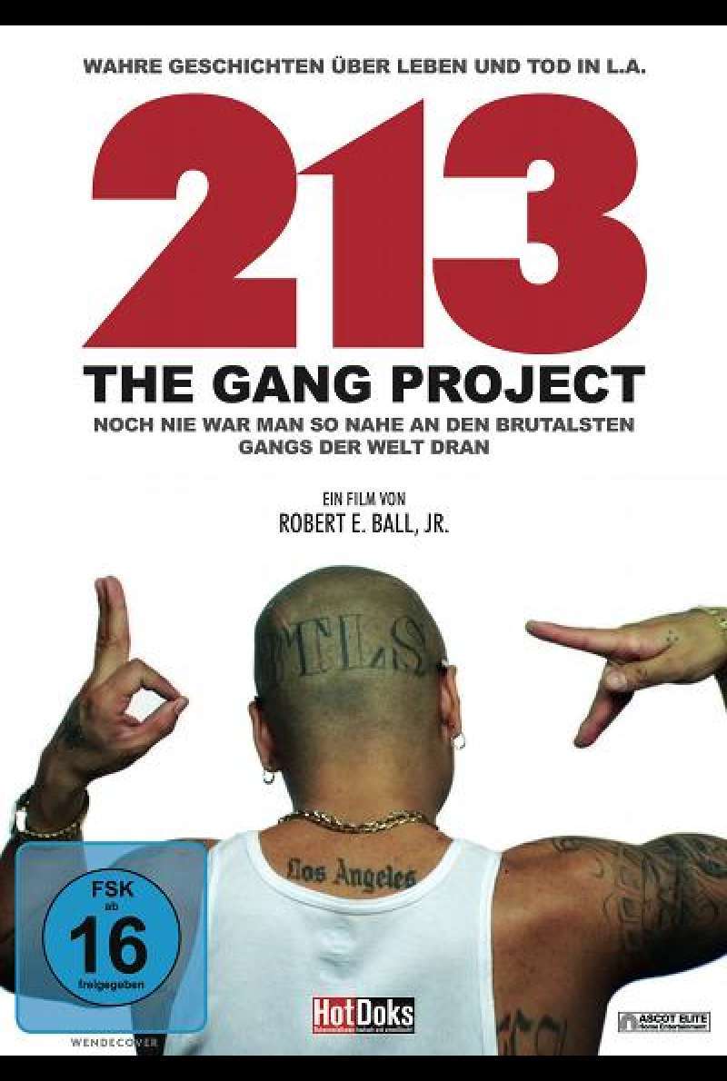 213 - The Gang Project - DVD-Cover