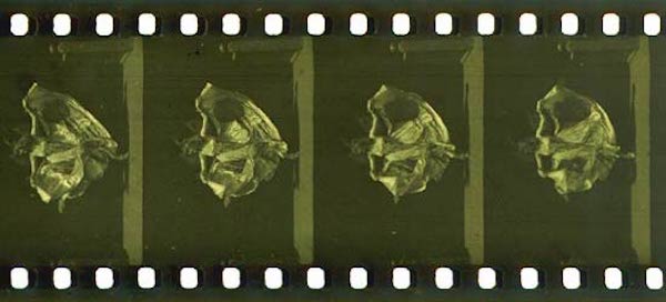 35mm-Filmstreifen von "Butterfly Dance" mit Annabelle Whitford Moore; Gemeinfrei