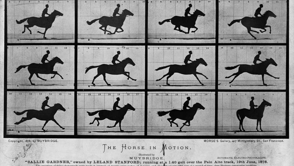 The Horse in Motion