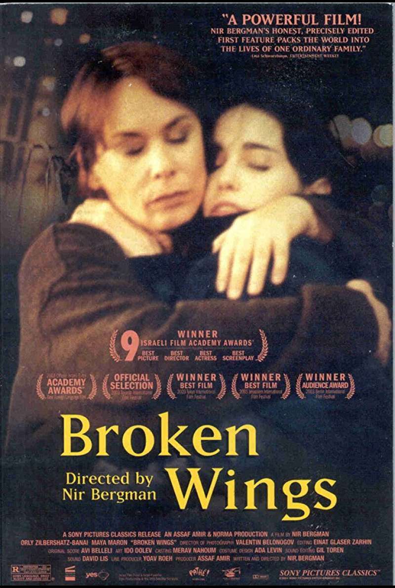 Broken Wings Plakat