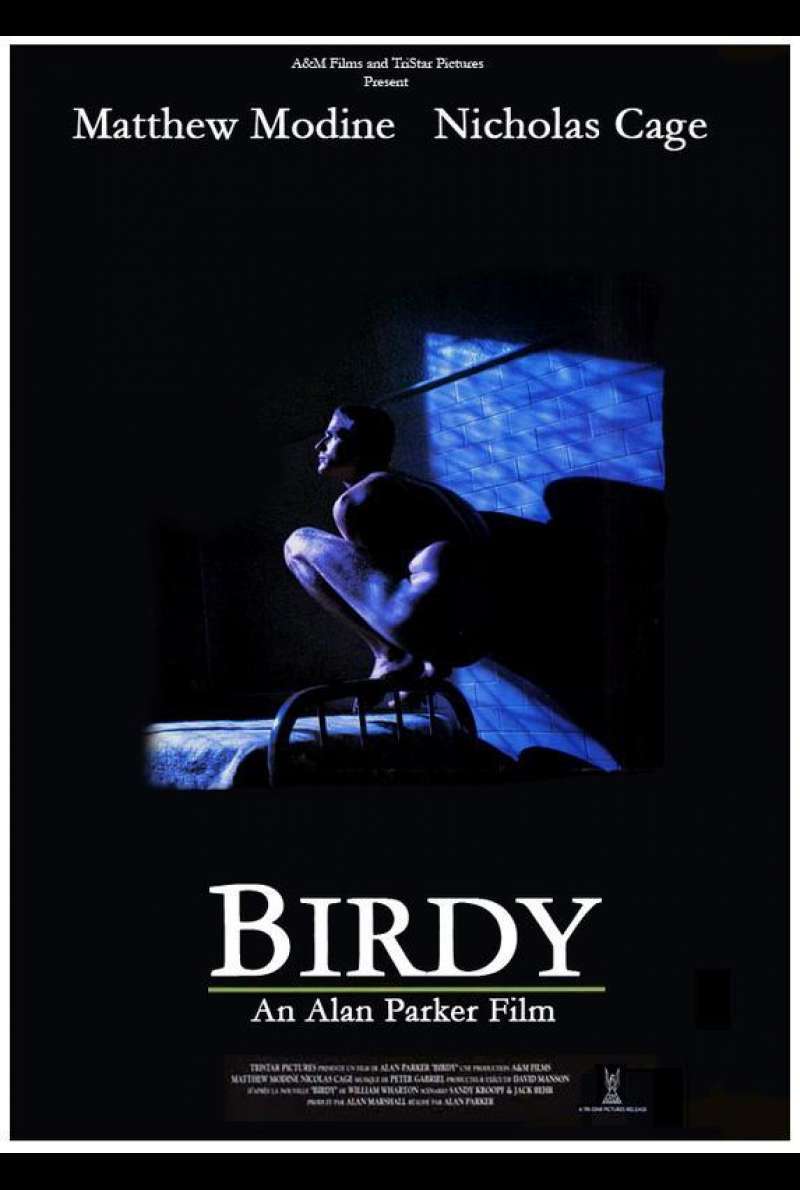 Birdy Plakat