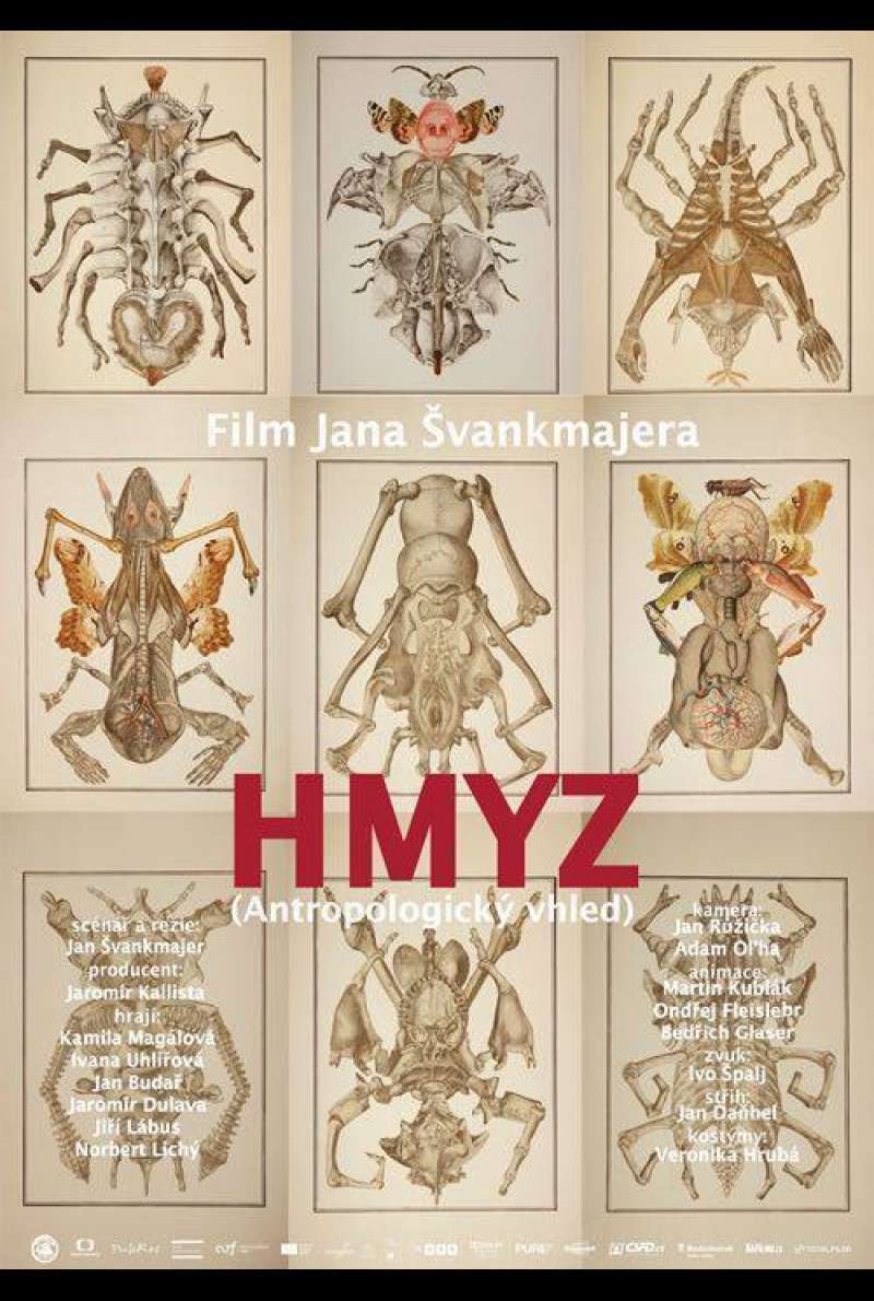 Filmposter zu Insects / Hmyz (2018)