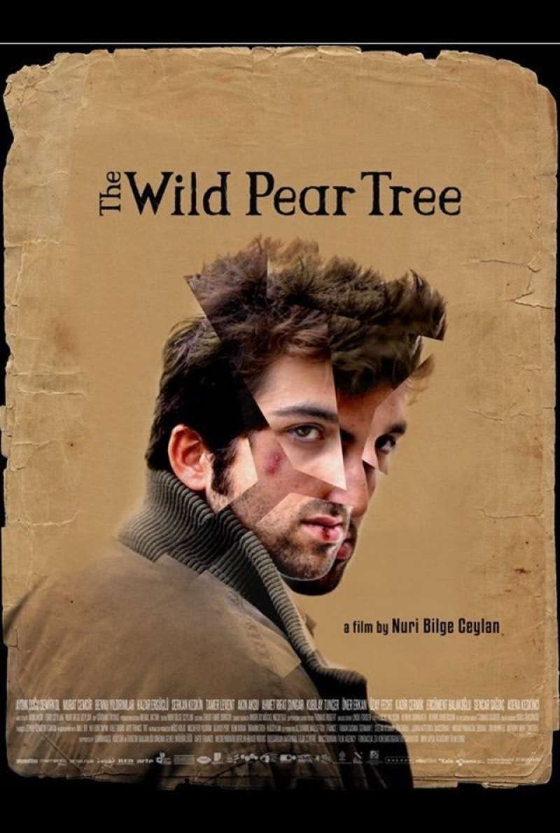 Poster zu The Wild Pear Tree (2018) von Nuri Bilge Ceylan