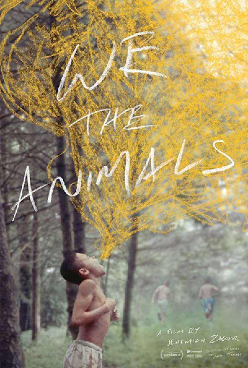 Bild zu We the Animals von Jeremiah Zagar