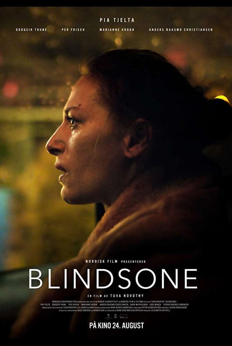 Poster zu Blind Spot / Blindsone (2018)