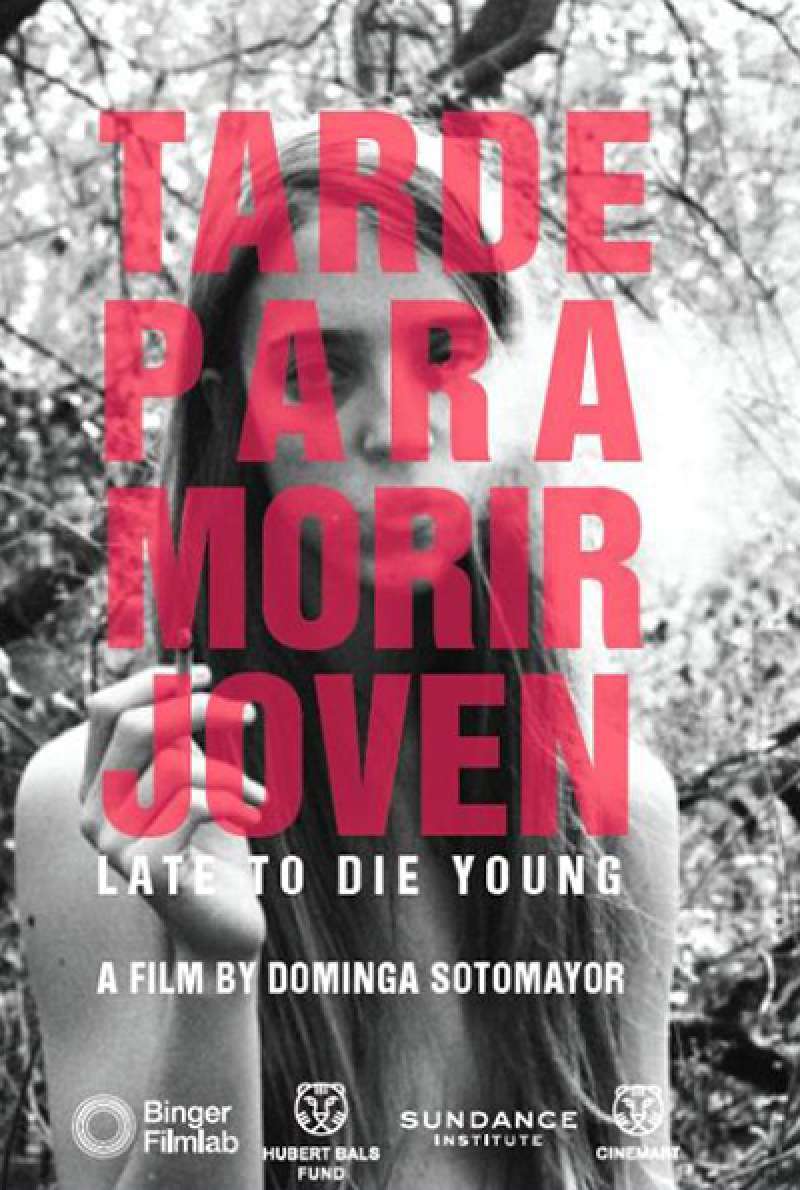 Bild zu Too Late to Die Young von Dominga Sotomayor