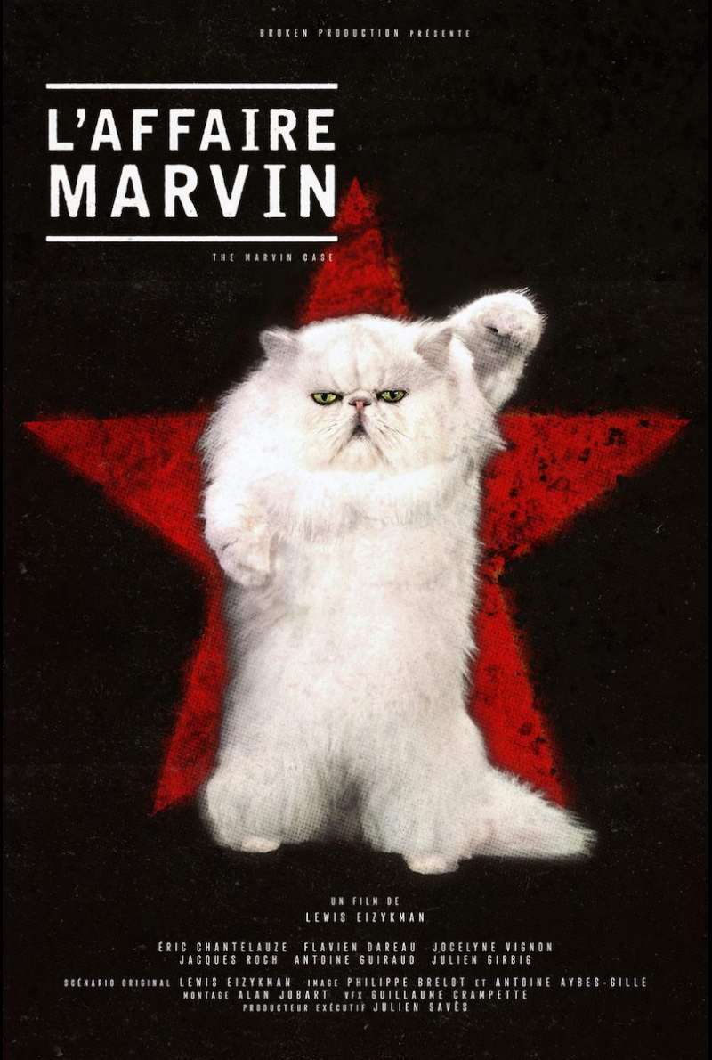 Filmplakat zu L'affaire Marvin (2018)