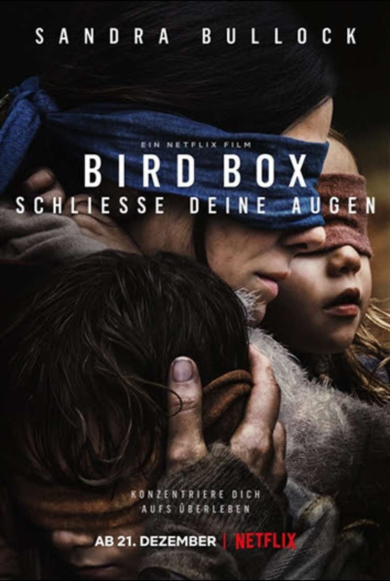 Bild zu Bird Box – Schließe deine Augen von Susanne Bier
