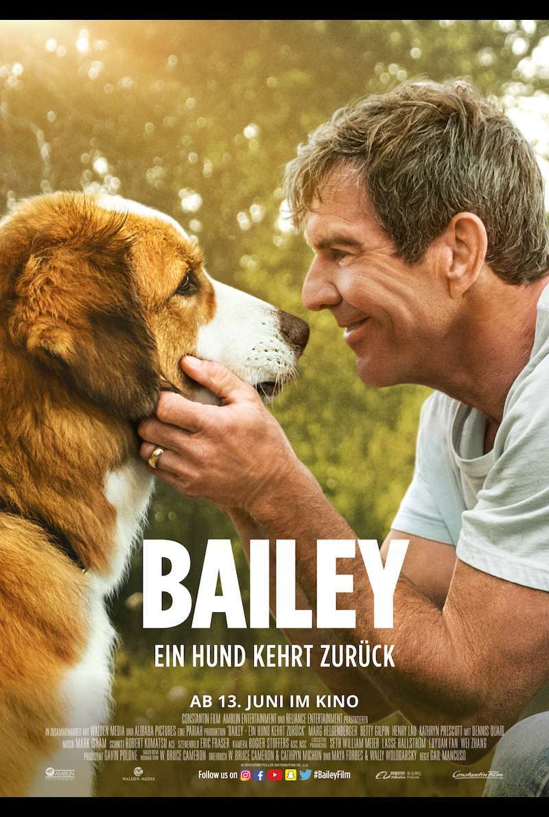 Filmplakat zu Bailey - Ein Hund kehrt zurück (2019)