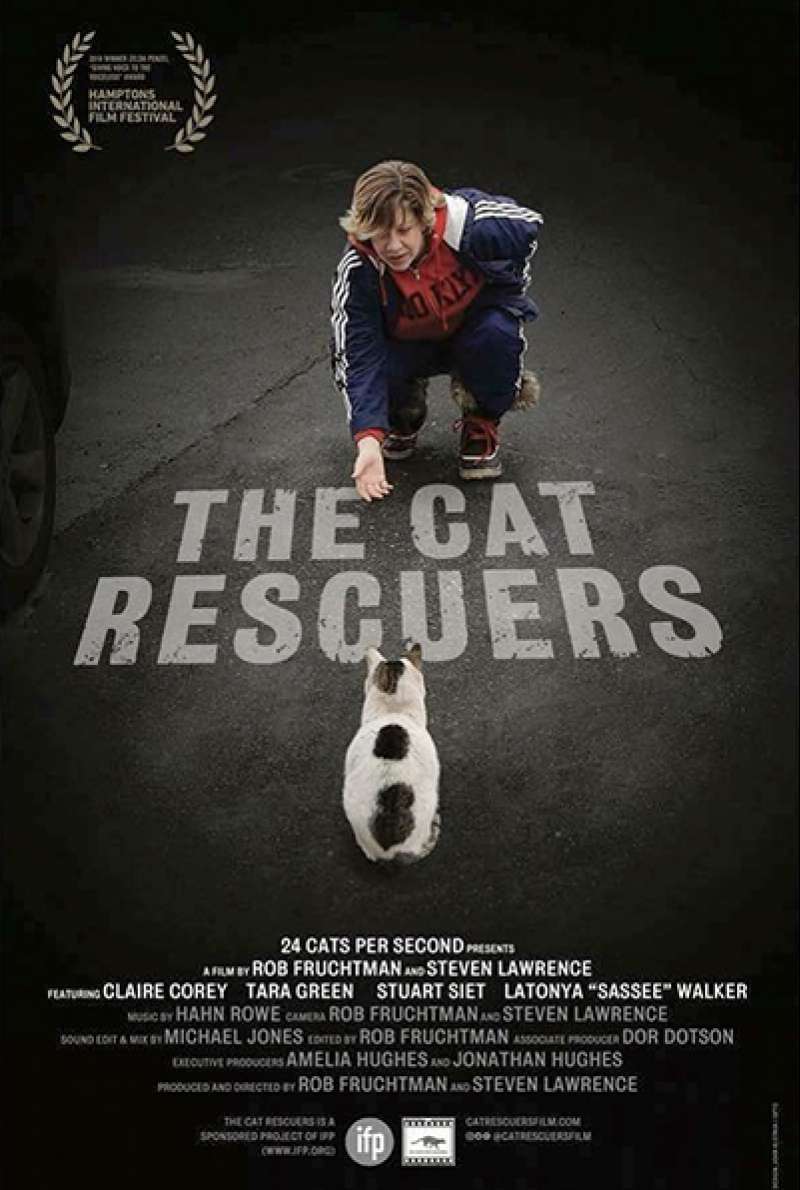 Bild zu The Cat Rescuers von Rob Fruchtman, Steve Lawrence