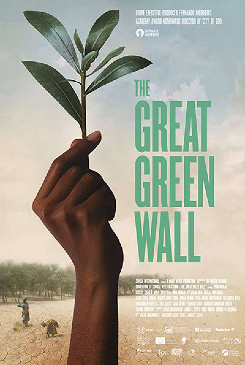 Filmstill zu The Great Green Wall (2019) von Jared P. Scott