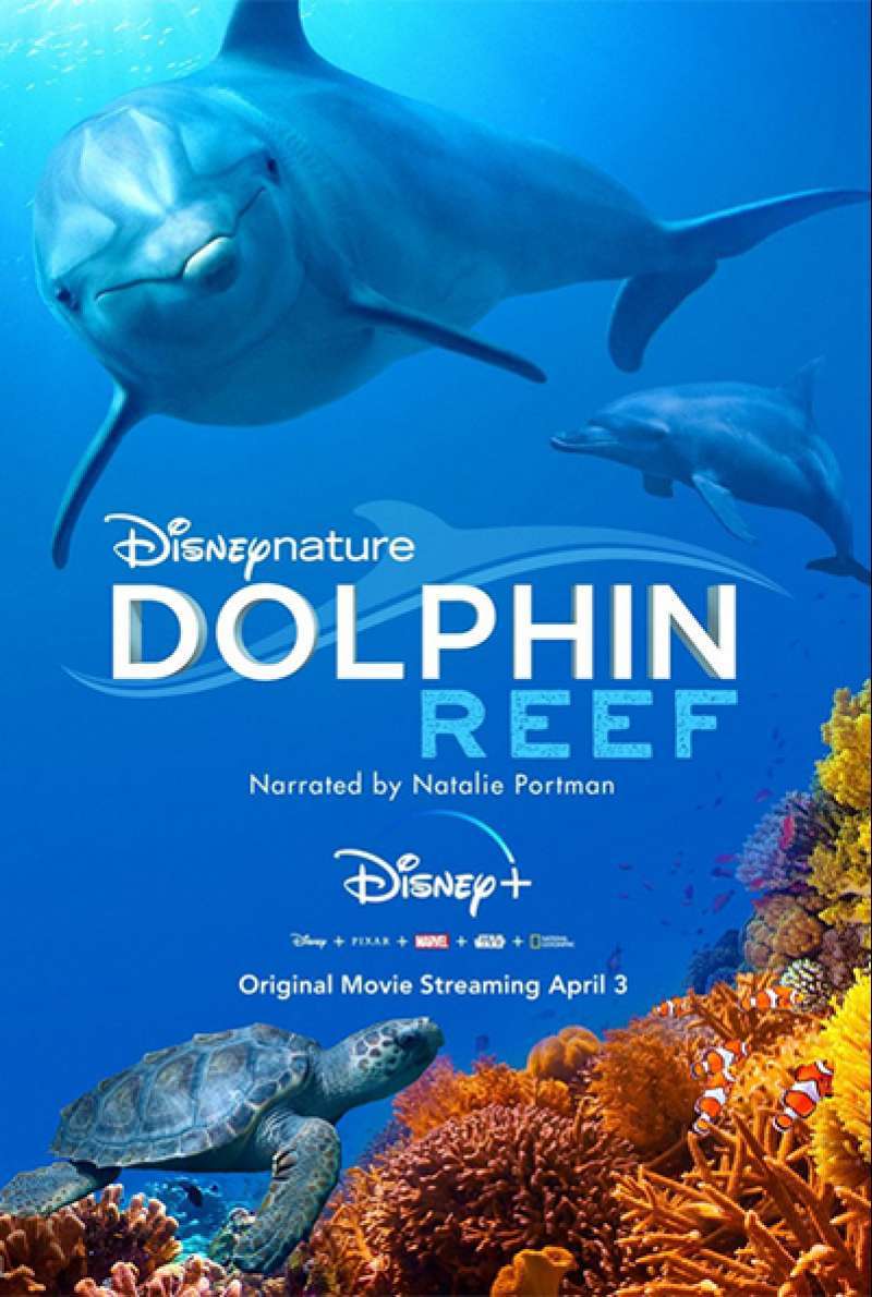 Filmstill zu Dolphin Reef (2020) von Keith Scholey