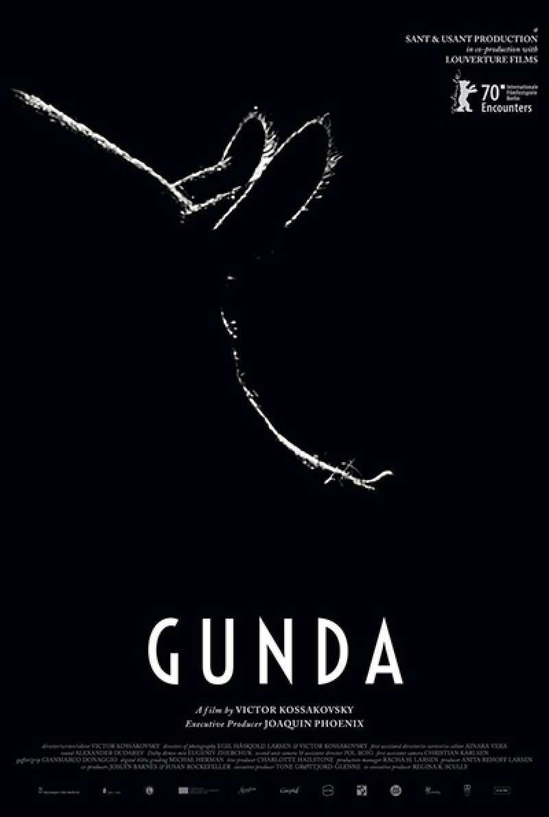 Filmstill zu Gunda von Victor Kossakovsky