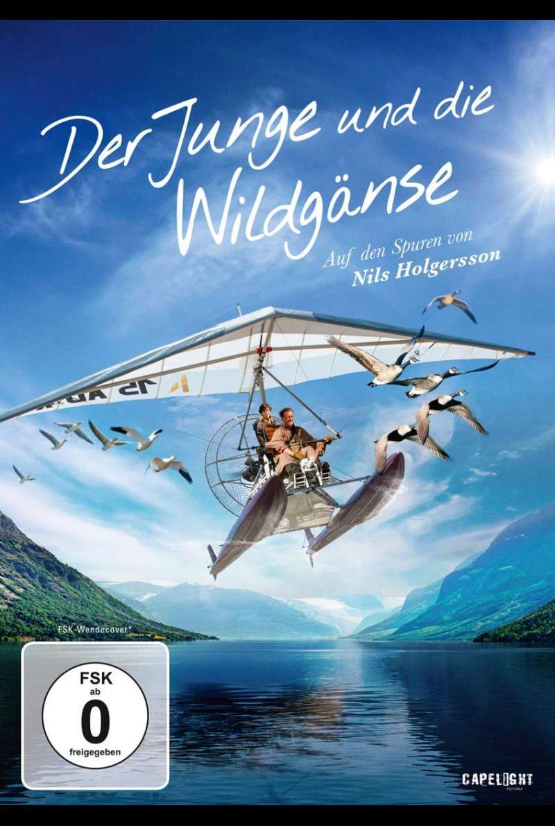 Der Junge und die Wildgänse - DVD-Cover