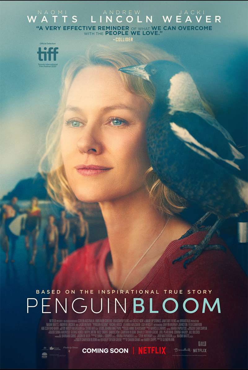 Filmstill zu Penguin Bloom (2020) von Glendyn Ivin