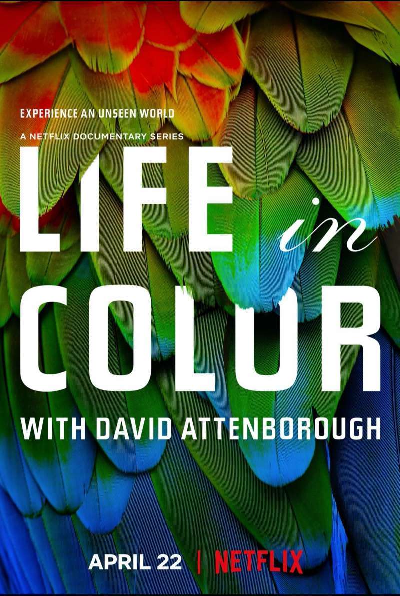 Still zu Das Leben in Farbe mit David Attenborough (Dokuserie, 2021)