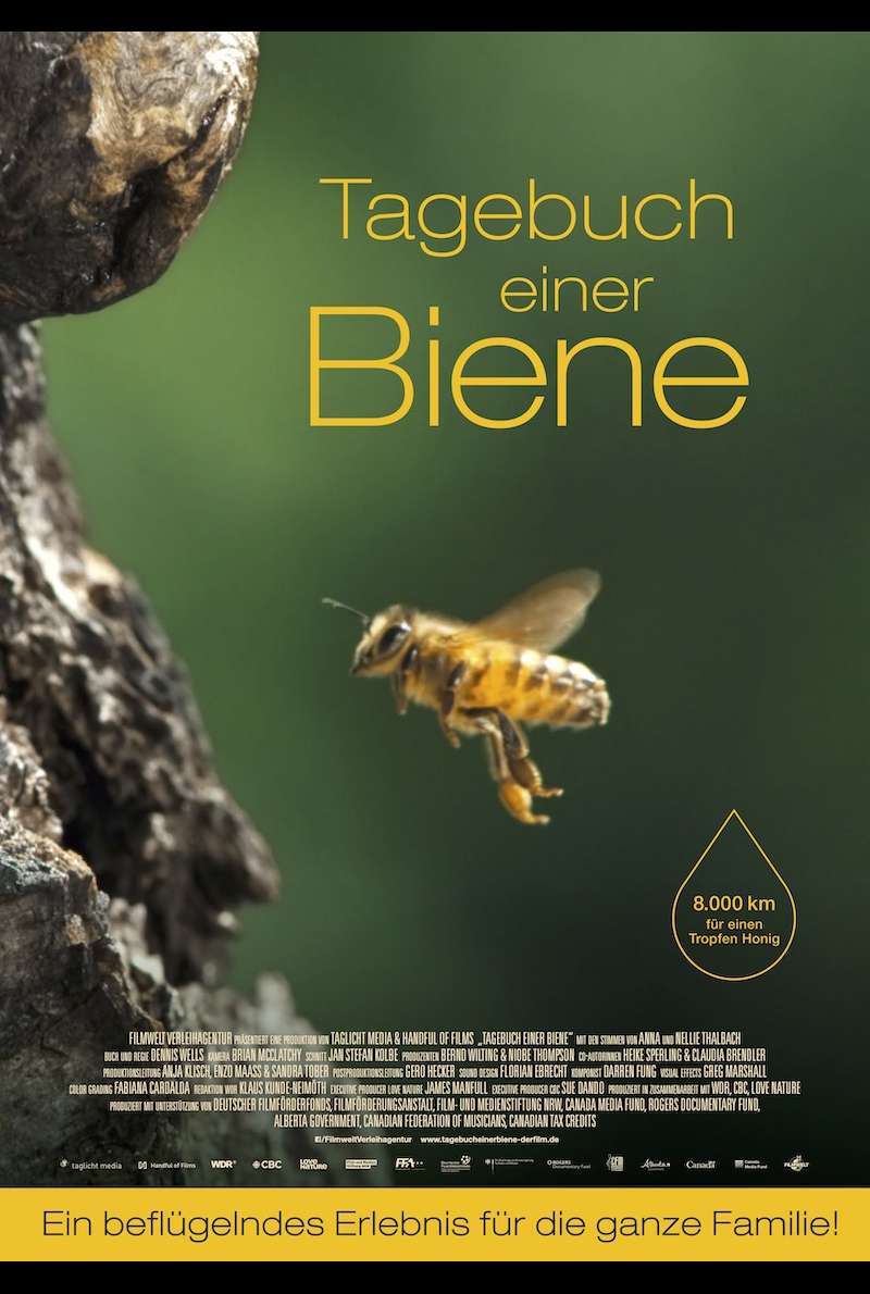 Filmplakat zu Tagebuch einer Biene (2021)