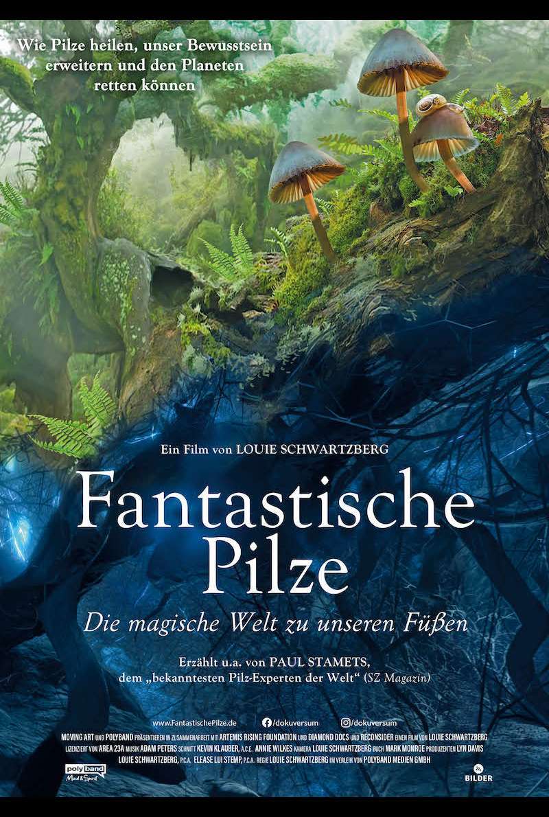 Filmplakat zu Fantastische Pilze – Die magische Welt zu unseren Füßen (2019)