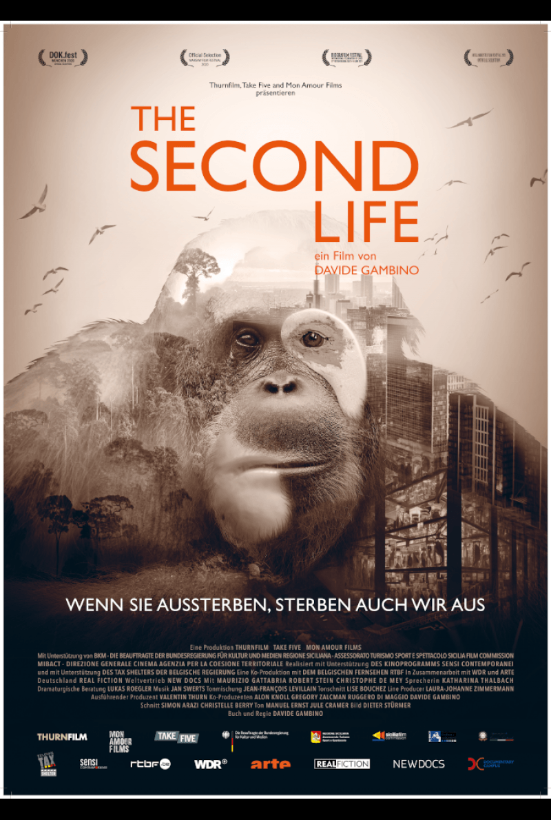 Filmstill zu The Second Life (2020) von Davide Gambino