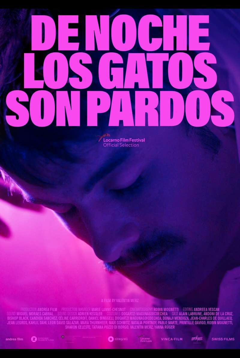 Filmstill zu De Noche Los Gatos Son Pardos (2022) von Valentin Merz