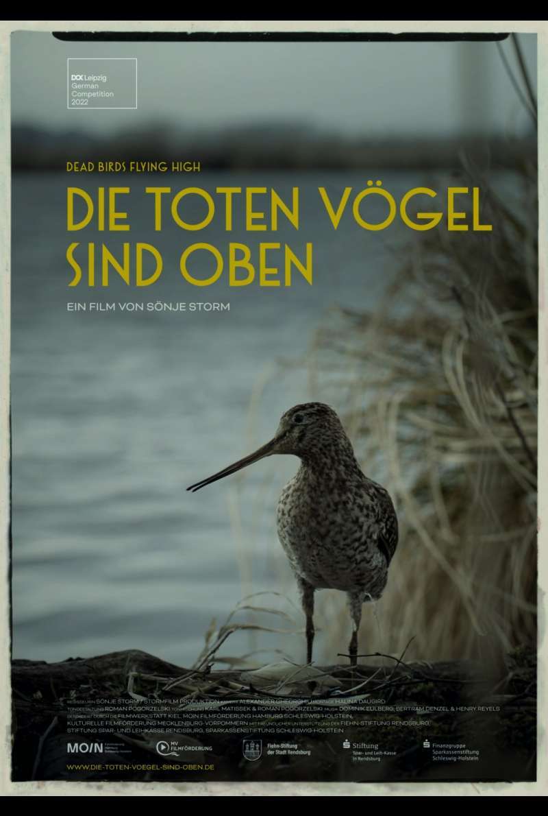 Filmstill zu Die toten Vögel sind oben (2022) von Sönje Storm
