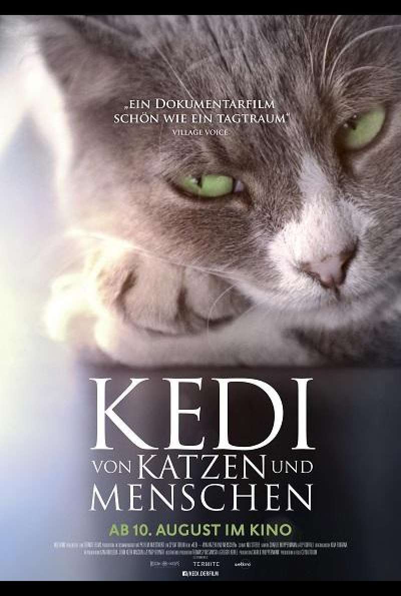 Kedi - Von Katzen und Menschen - Filmplakat