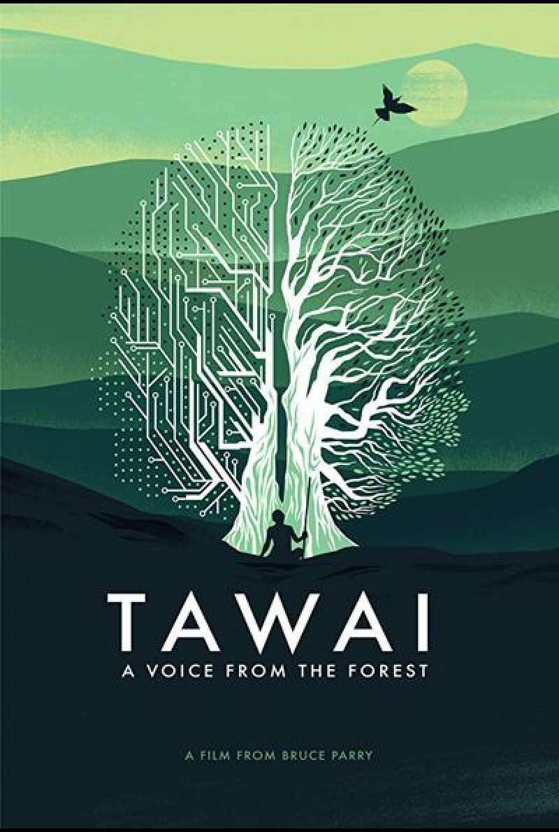 TAWAI - A Voice from the Forest von Bruce Parry - Filmplakat