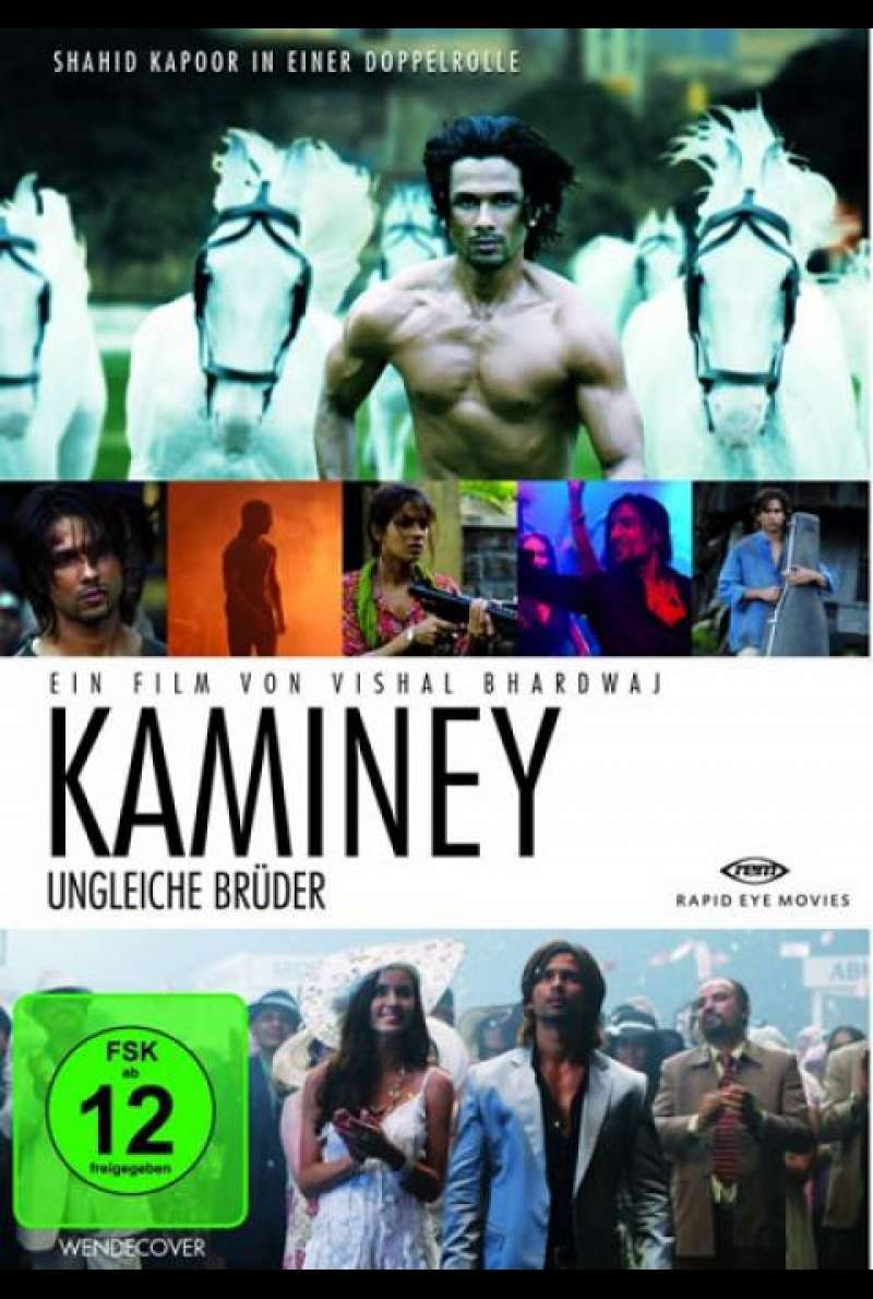 Ungleiche Brüder - Kaminey - DVD-Cover