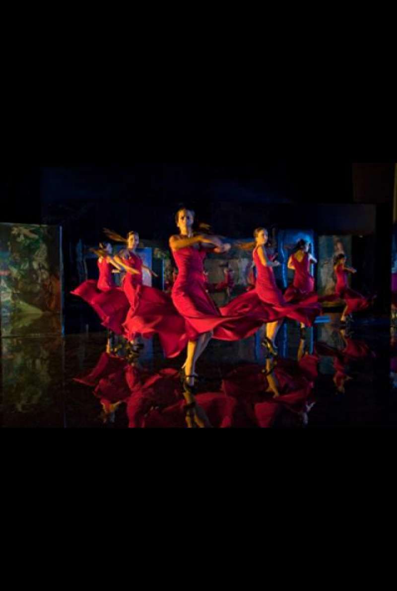 Flamenco, Flamenco von Carlos Saura