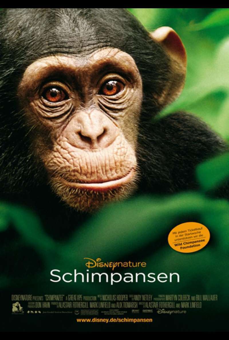 Schimpansen - Filmplakat (D)