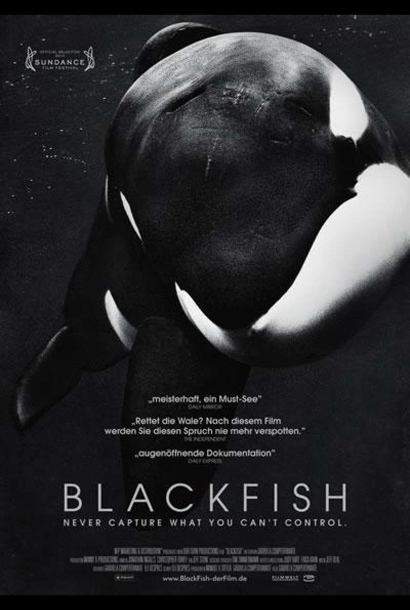 Blackfish - Filmplakat