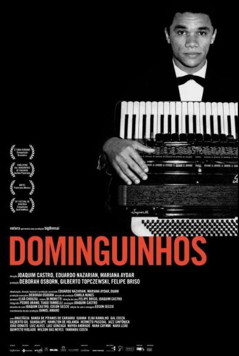 Dominguinhos von Joaquim Castro, Mariana Aydar und Eduardo Nazarian - Filmplakat (BR)