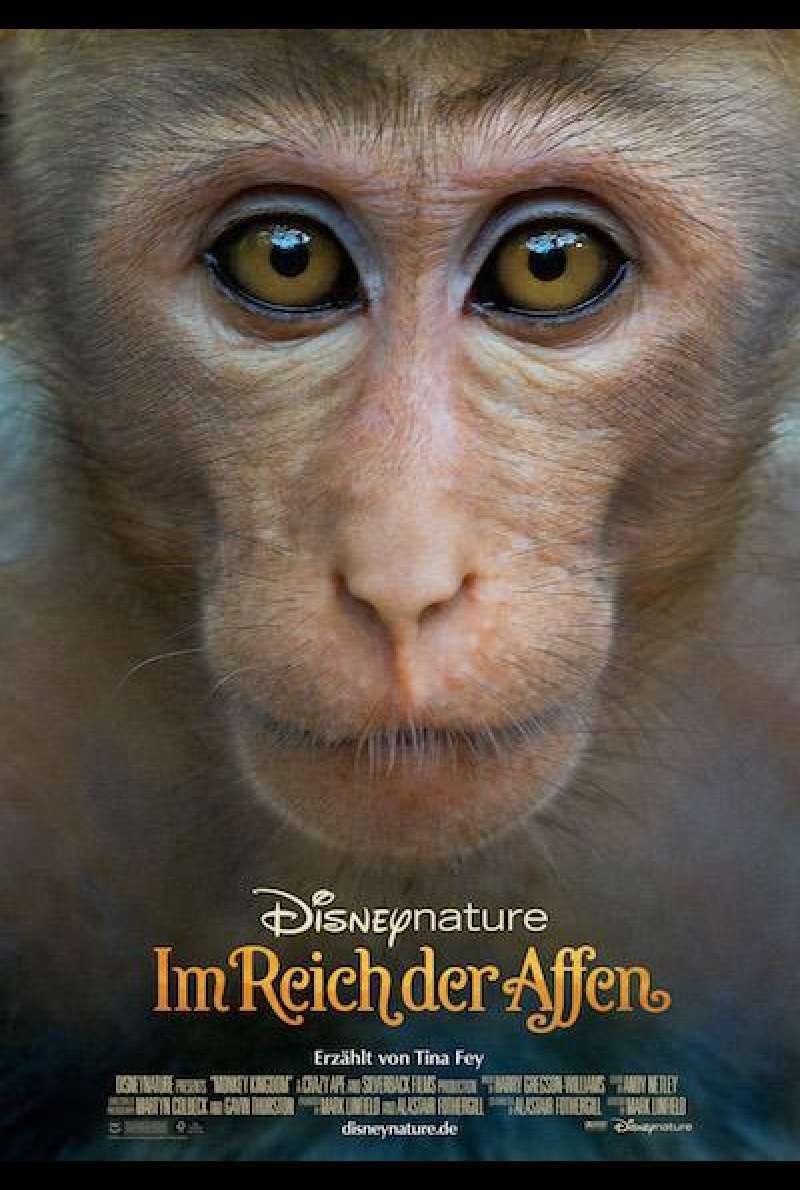 Im Reich der Affen - Filmplakat
