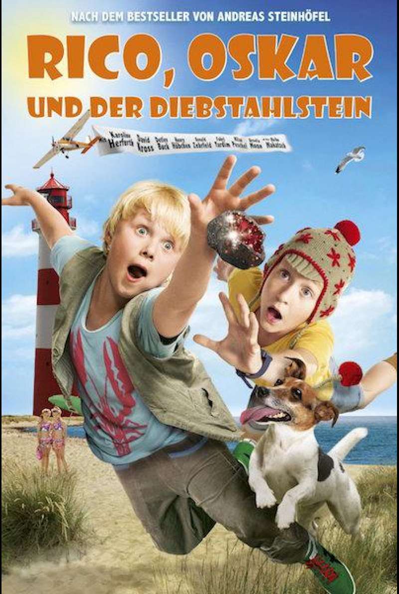 Rico, Oskar und der Diebstahlstein - DVD-Cover
