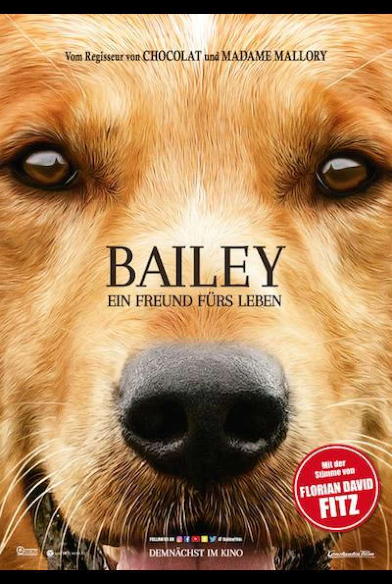 Bailey - Ein Freund fürs Leben von Lasse Hallström - Filmplakat