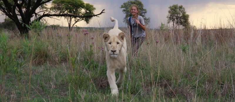 Filmstill zu Mia und der weiße Löwe (2018)