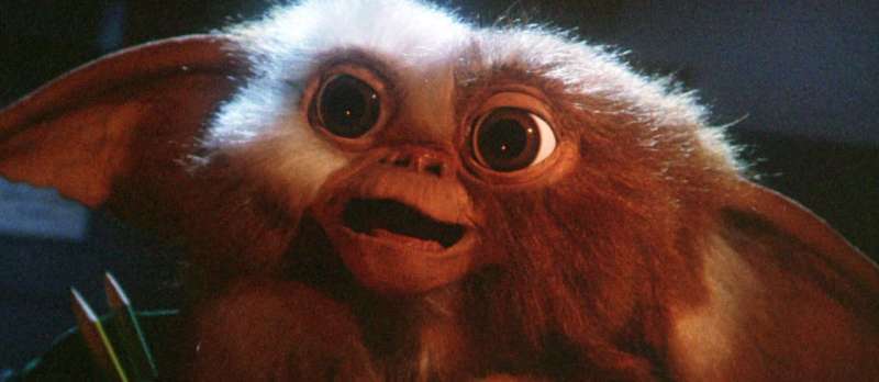 Filmstill zu Gremlins - Kleine Monster (1984) von Joe Dante