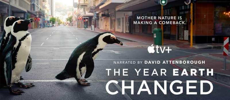 Filmstill zu The Year Earth Changed (2021) von Tom Beard