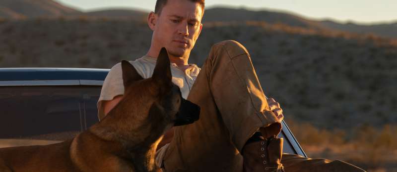 Filmstill zu Dog (2022) von Channing Tatum, Reid Carolin