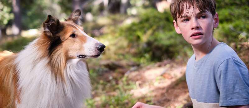 Filmstill zu Lassie - Ein neues Abenteuer (2023) von Hanno Olderdissen