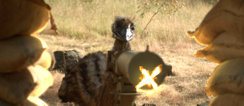 Filmstill zu The Emu War (2023) von John Campbell, Lisa Fineberg, Jay Morrissey