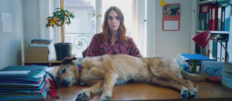 Filmstill zu Le procès du chien (2024) von Laetitia Dosch