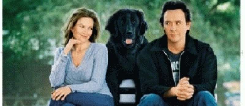 Frau mit Hund sucht Mann mit Herz - DVD-Cover