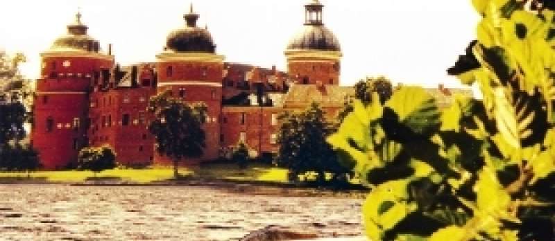 Schloss Gripsholm - DVD-Cover